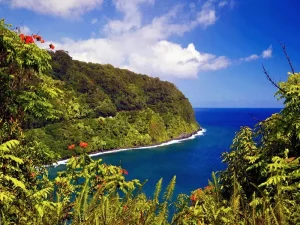 Best Hotel Hawaii - Hotel Wailea, Maui