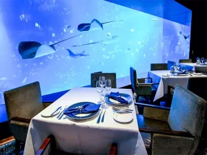 Equarius Ocean Suite - Restaurant