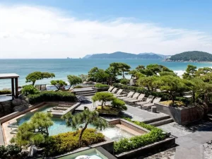 Paradise Hotel - Best Hotels In South Korea