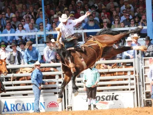 Arcadia All-Florida Championship Rodeo - Best hotels in Arcadia FL