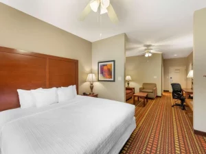 Best Western Plus Gadsden Hotel & Suites - room