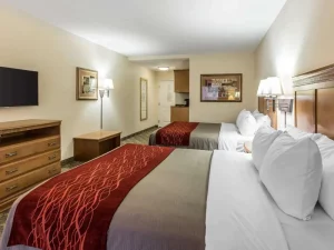 Comfort Inn & suites - room