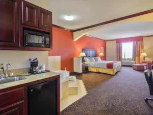 Holiday Inn & Express Terrell - room