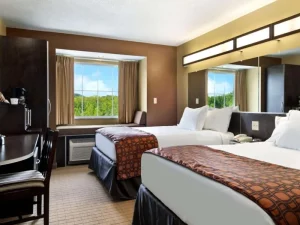 Microtel Inn & Suites by Wyndham - room