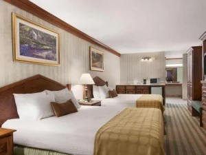 Ramada by Wyndham Saginaw Hotel - room