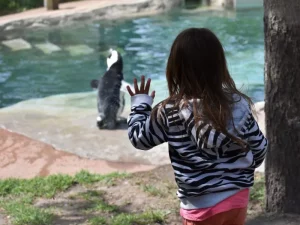 Saginaw MI - Children’s Zoo