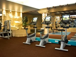 TLH Leisure Resort - gym