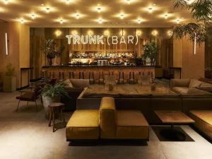 Trunk Hotel - Bar