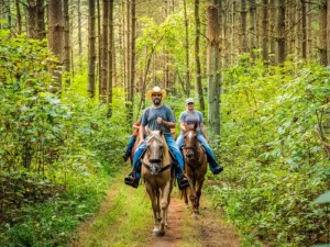 Wayne National Forest - horse riding