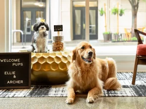 InterContinental Singapore - Best Pet Friendly Hotels In Singapore