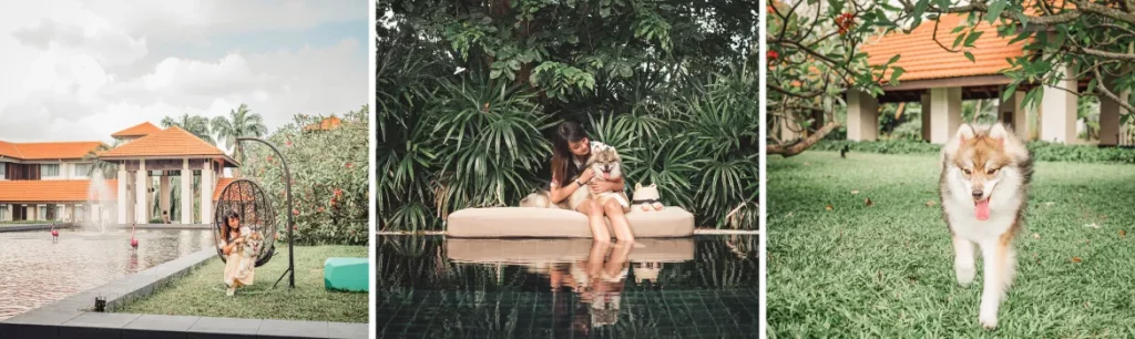 Sofitel Singapore Sentosa - Best Pet Friendly Hotels In Singapore