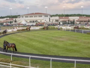 1. Chelmsford City Racecourse - Best Hotels in Chelmsford