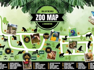 6. Call of The Wild Zoo - 1