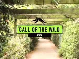 6. Call of The Wild Zoo - 2