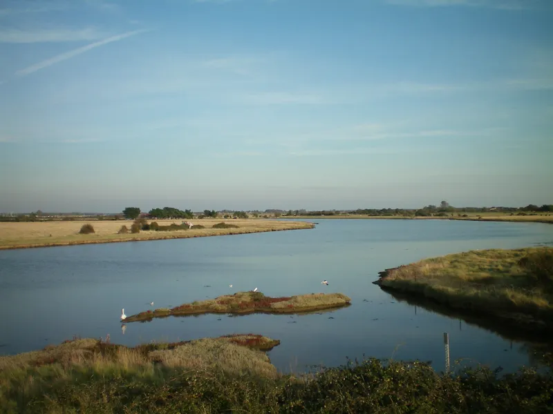 things to do - thorney island