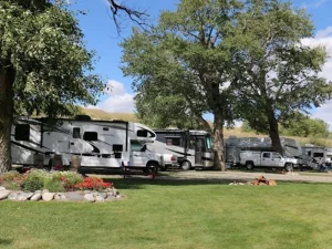 Activities - Spring Creek Campground and Trout Ranch