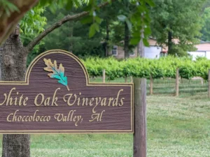 Activities - White Oak Vineyards 2