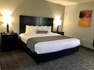 Best Western Jonesboro Inn _ Suites - Bedroom