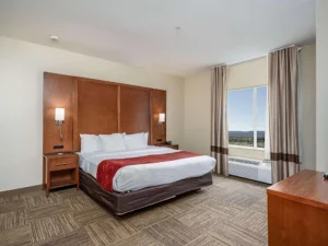 Comfort Suites University - Bedroom