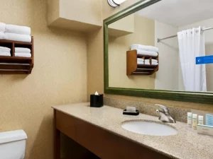 Hampton Inn Abilene - Bathroom