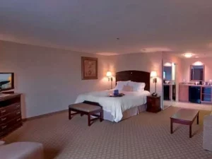 Hampton Inn _ Suites Farmington - bedroom