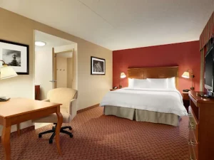 Hampton Inn _ Suites Hartford East Hartford - Bedroom