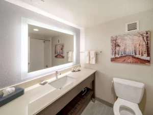 La Quinta Inn _ Suites by Wyndham Jonesboro - Bathroom