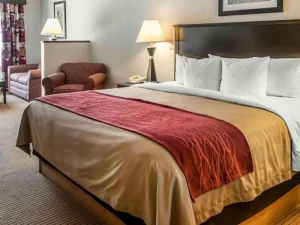 Quality Inn _ Suites Farmington - bedroom 2