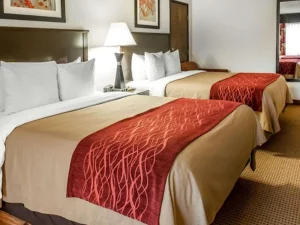Quality Inn _ Suites Farmington - bedroom
