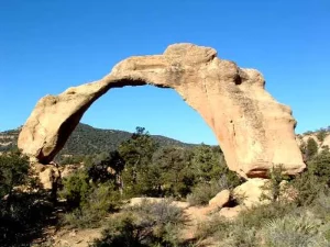 activities - Cox Canyon Arch